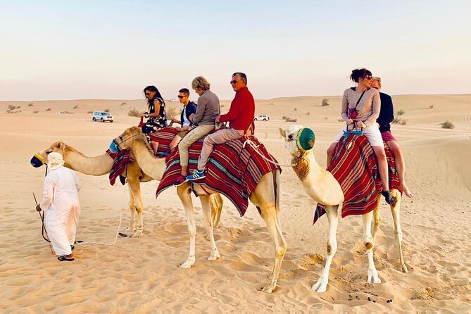 Morning Dune Bashing With Camel Trekking and Sand Boarding - Pickup and Drop-off Details