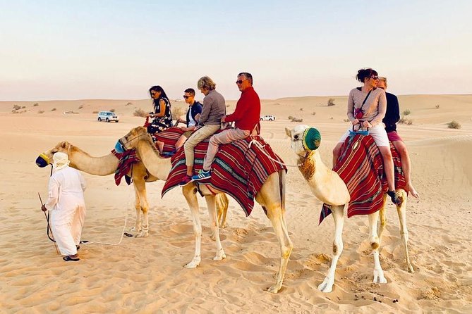 Morning Dune Bashing With Sand Boarding And Camel Ride in Red Dunes Desert - Customer Reviews