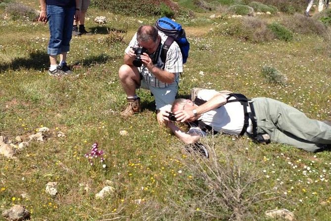 Morning Excursions Etna / Etna Morgen Tour - Key Points
