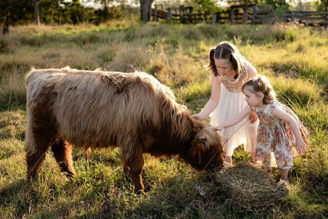 Morning Farm Experience near Gympie & Noosa - Key Points