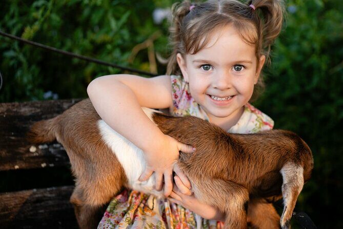 Morning Farm Experience near Gympie & Noosa - Sourcing and Cooking Farm-Fresh Produce
