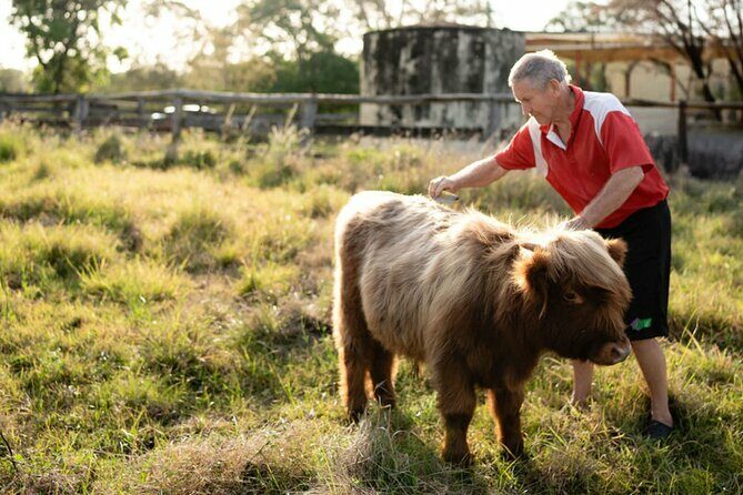 Morning Farm Experience near Gympie & Noosa - Family-Friendly Fun and Education