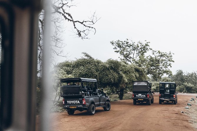 Morning Game Drive in Yala National Park - Exclusions