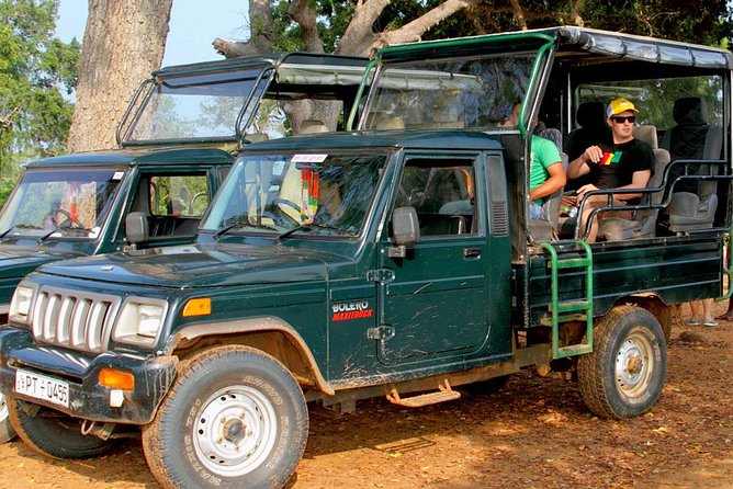Morning Game Drive in Yala National Park - Booking Information