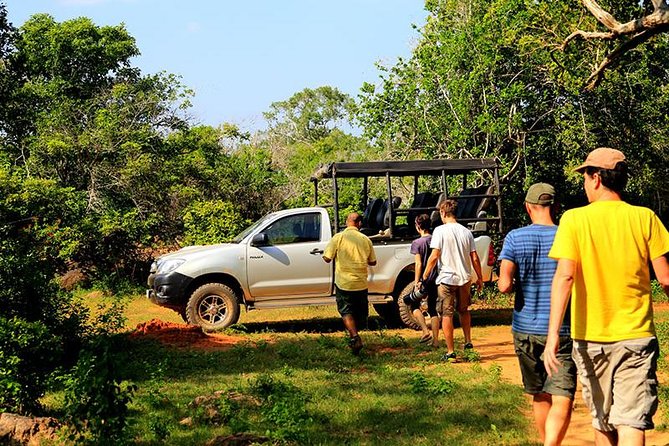 Morning Game Drive in Yala National Park - Yala National Park