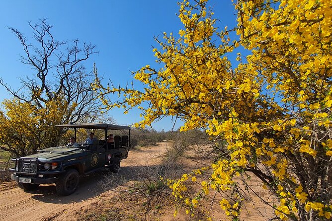 Morning Game Drive Safari Near Hoedspruit - Provided Refreshments