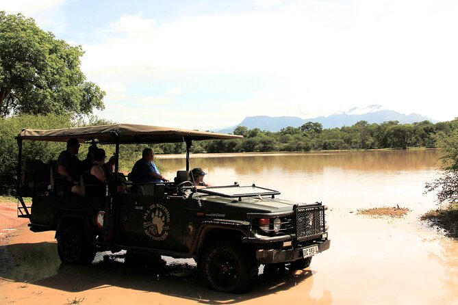 Morning Game Drive Safari Near Hoedspruit - Pick-up and Drop-off Service
