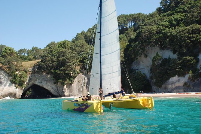 Morning Glory Chilled Out Sail (3.5hrs) - Accessibility