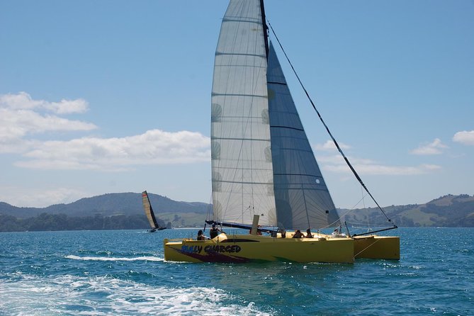 Morning Glory Chilled Out Sail (3.5hrs) - Capacity and Pricing