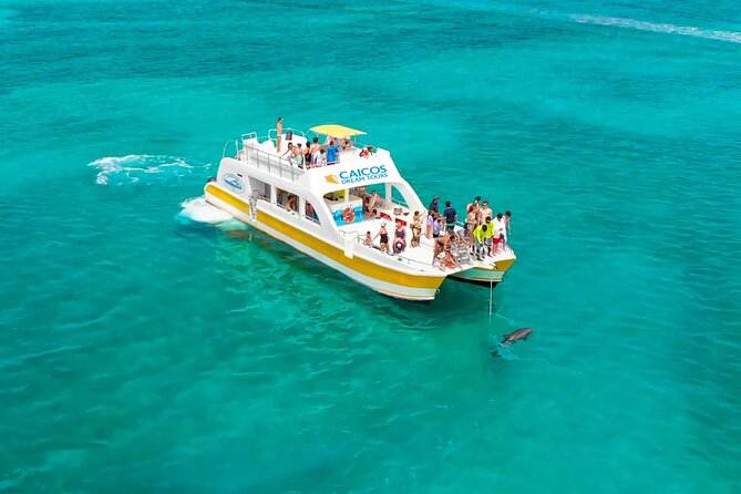 Morning Half Day Cruise From Providenciales With Snorkeling and Iguana Island - Snorkeling and Underwater Exploration