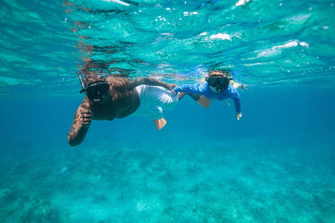 Morning Half Day Cruise From Providenciales With Snorkeling and Iguana Island - Booking and Preparation