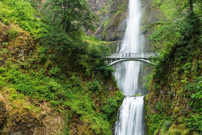 Morning Half-Day Multnomah Falls and Columbia River Gorge Waterfalls Tour From Portland - Highlights of the Itinerary