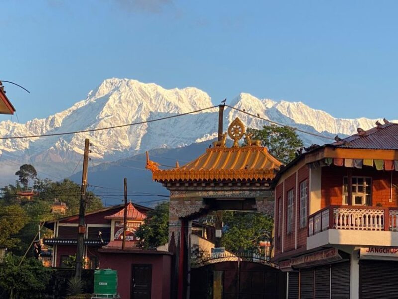 Morning Half Day Tibetan Cultural Tour - Key Points