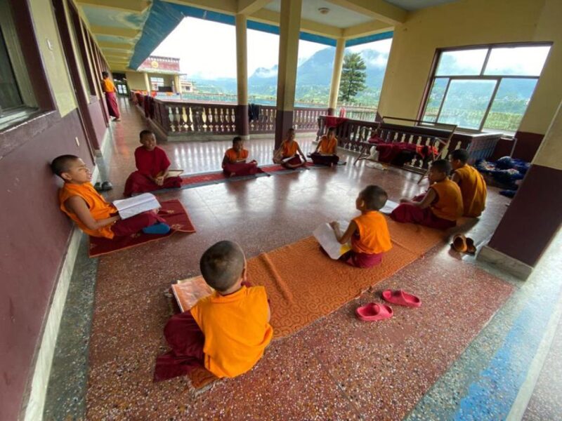 Morning Half Day Tibetan Cultural Tour - Guided Experience