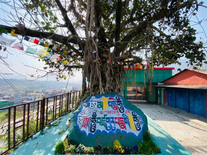 Morning Half Day Tibetan Cultural Tour - Important Information