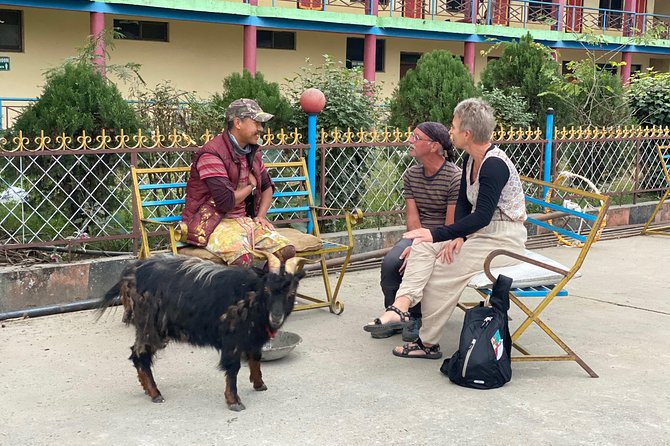 Morning Half Day Tibetan Cultural Tour to Tibetan Settlements - Pickup Information