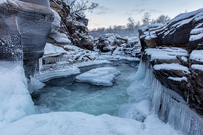 Morning Hike in Abisko National Park - Meeting and Pickup Details