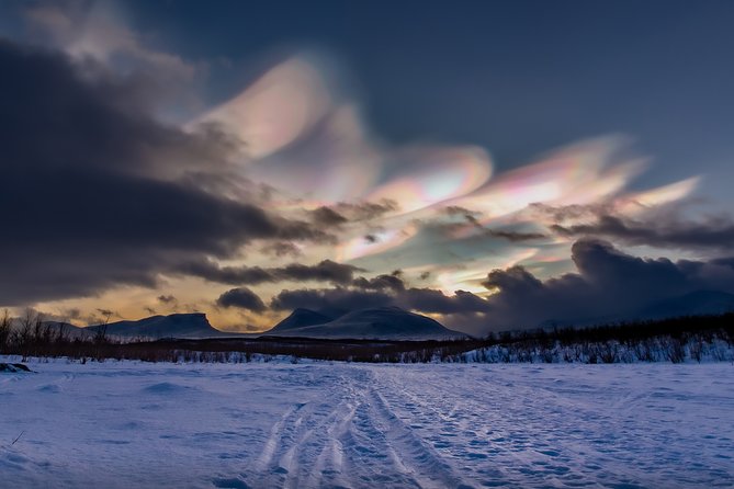 Morning Hike in Abisko National Park - Scenic Wonders of Abisko