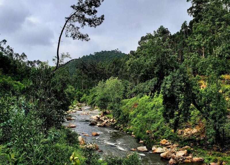 Morning Hike&Brunch in Portos Long Valley - Whats Included