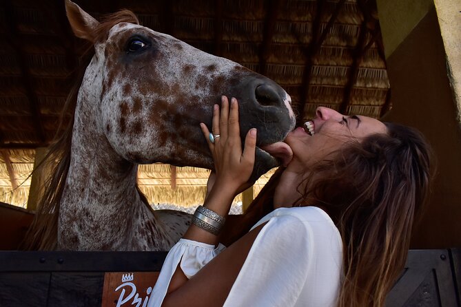 Morning Horseback Riding to the Beach and Breakfast! - Guest Reviews and Ratings