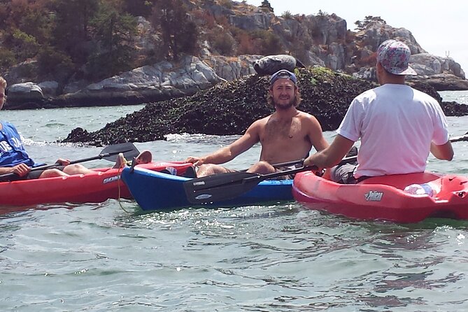 Morning Kayak & Seal Cruise - Paddle the Coastal Waters