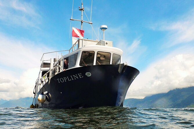 Morning Kayak & Seal Cruise - Public Transportation Accessibility