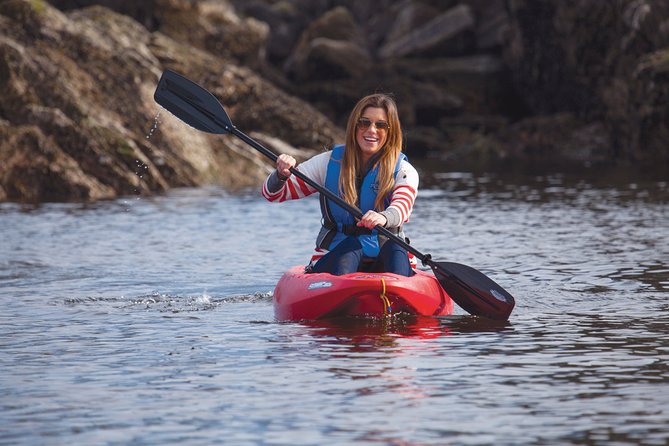 Morning Kayak & Seal Cruise - Tour Operator Information