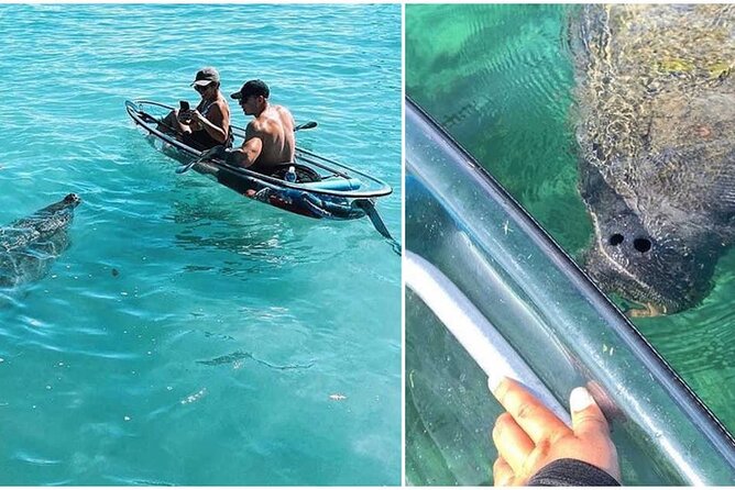 Morning Kayak Tour in Condado Lagoon - Traveler Reviews and Recommendations