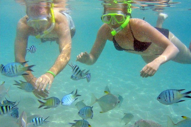 Morning Kayaking and Snorkeling Tour - Kayaking and Paddling