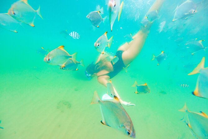 Morning Kayaking and Snorkeling Tour - Snorkeling and Marine Life