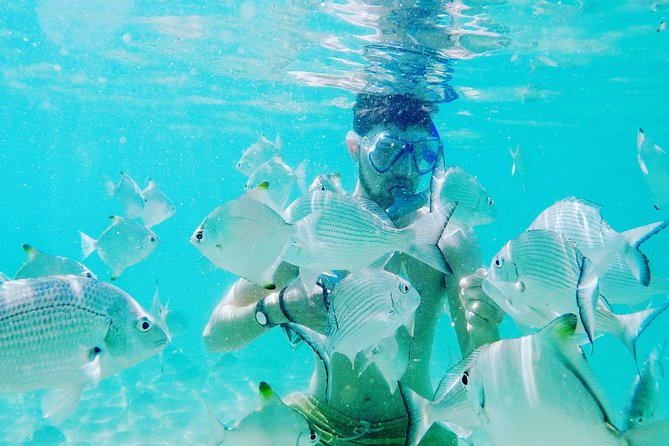 Morning Kayaking and Snorkeling Tour - Group Size and Age Restrictions