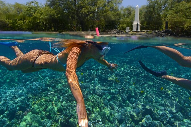 Morning Kealakekua Snorkel Tour - Positive Reviews
