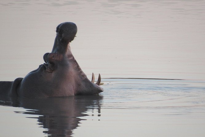 Morning Kruger National Park Safari - Departure Time