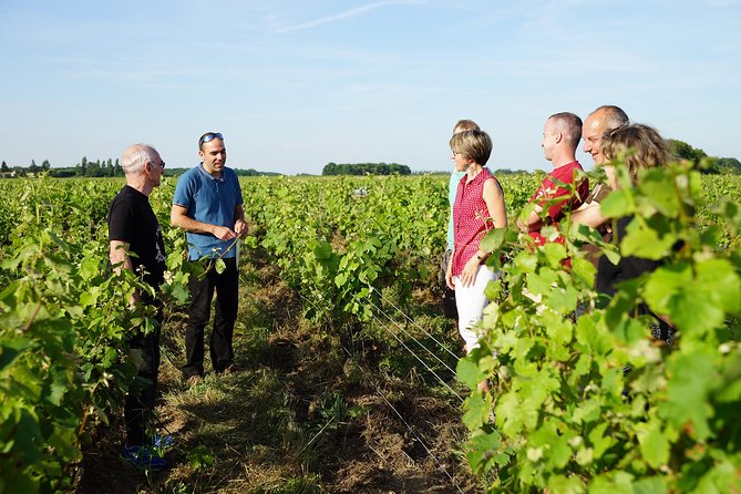 Morning - Loire Valley Wine Tour in Vouvray and Montlouis - Exploring Vouvray Vineyards and Cellars
