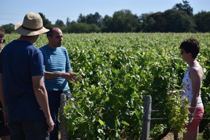 Morning - Loire Valley Wine Tour in Vouvray and Montlouis - Montlouis-sur-Loire Wine Estate