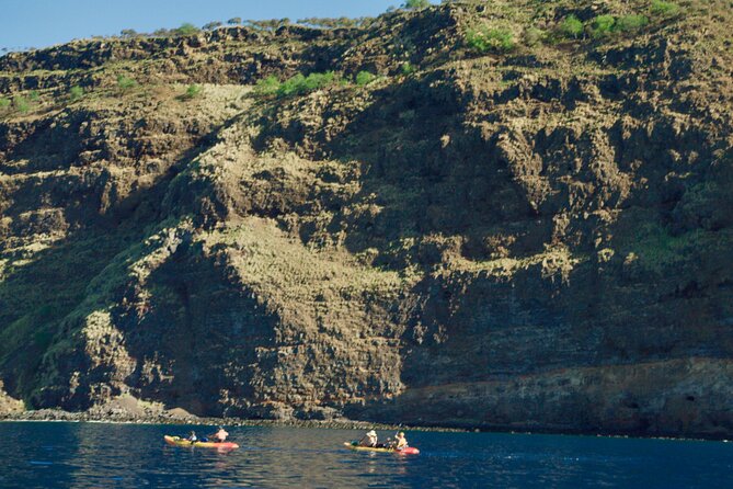 Morning Magic Kayak and Snorkel Adventure in Kealakekua Bay - Snorkeling Amidst Marine Life