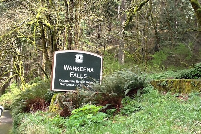 Morning Multnomah Falls and Gorge Waterfalls Tour - The Comfort of Private Transportation