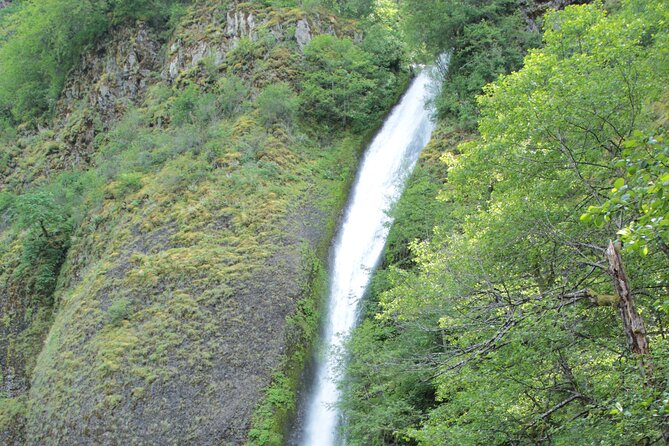 Morning Multnomah Falls and Gorge Waterfalls Tour - Whats Included in Your Tour