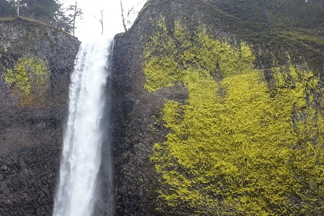 Morning Multnomah Falls and Gorge Waterfalls Tour - Pricing and Cancellation Policy