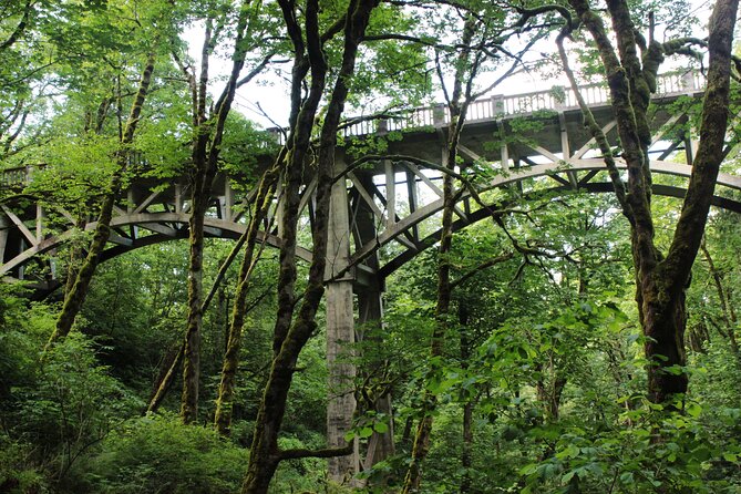 Morning Multnomah Falls and Gorge Waterfalls Tour - Customer Reviews and Feedback