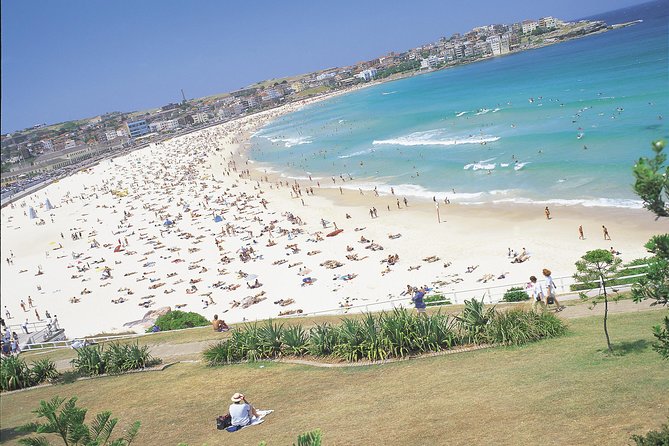 Morning or Afternoon Half-Day Sydney City Sightseeing Tour - Scenic Viewpoints and Landmarks