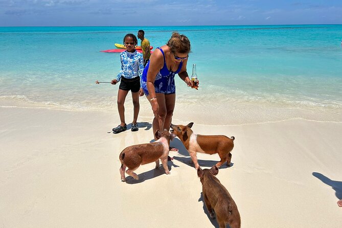 Morning - Private Snorkeling All-Inclusive Beachclub Experience - Accessibility and Restrictions