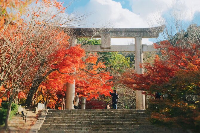 Morning Purification Ritual at Dazaifu Tenmangu by Train Tour - Tour Accessibility and Participation