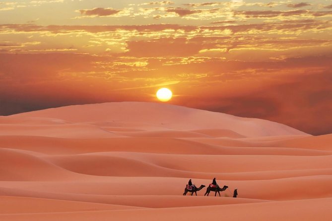 Morning Red Dunes Desert Safari - Booking and Inquiry