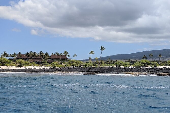Morning Reef Snorkel - Inclusions and Logistics