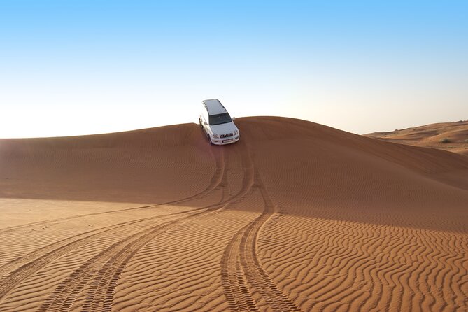 Morning Safari In Abu Dhabi - Meeting and Pickup Details
