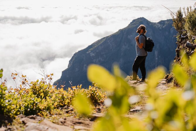 Morning Self-Guided Hike Pico Arieiro to Pico Ruivo W/ Transfers - Location and Ratings