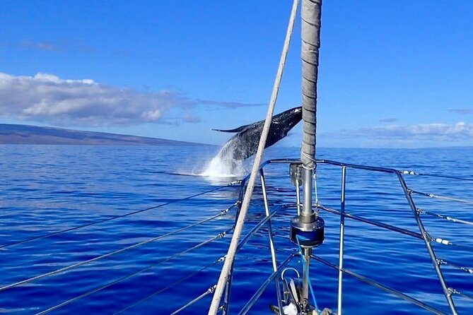 Morning Snorkel Sail From Lahaina Harbor - Cancellation Policy