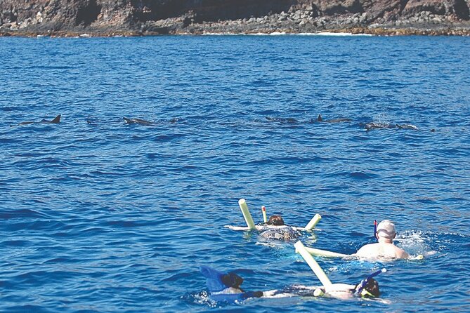 Morning Snorkel Sail From Lahaina Harbor - Additional Information