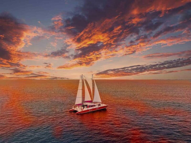 Morning Snorkeling or Sunset Sail to Boca Catalina With BBQ - The Overall Value: Is It Worth It?